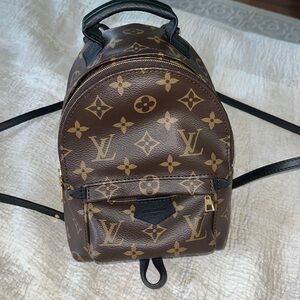 Louis Vuitton Palm Springs mini back pack